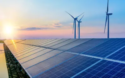 From Logistics to Renewables: How James Kemball Joined the Solar Movement